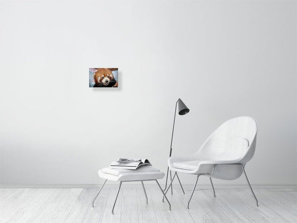 Say Cheese! Tracy Mccrackin Giclée - Tracy McCrackin Photography