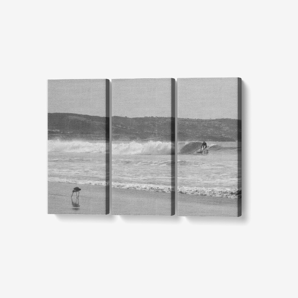 California Surfing - 3 Piece Canvas Wall Art - Framed Ready to Hang 3x8"x18" 3 x 8 x 18 / Canvas Only(rolled) Printy6 Wall art - Tracy McCrackin Photography
