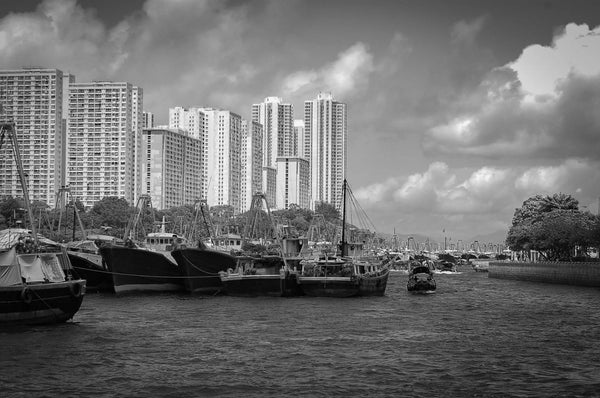 Urban Majesty: Hong Kong's Coastal Splendor Giclee / B&W / 5 x 7 Tracy McCrackin Photography Wall art - Tracy McCrackin Photography