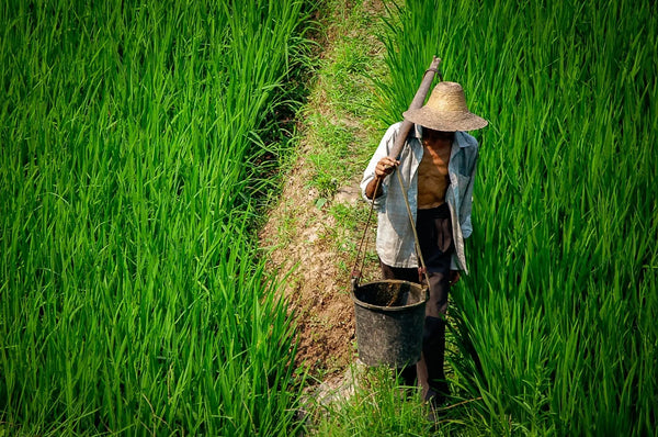 Strength of the Land: Portrait of a Chinese Farmer Giclee / Colored / 5 x 7 Tracy McCrackin Photography GiclŽe - Tracy McCrackin Photography