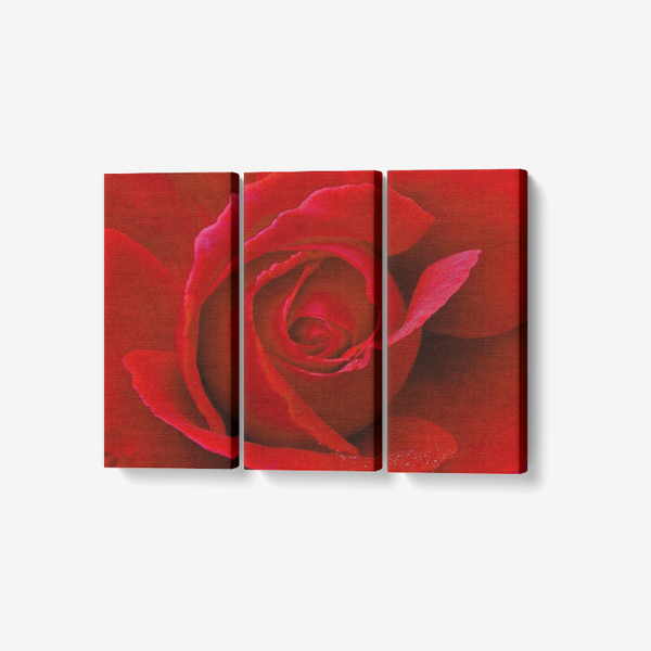 Red Rose- 3 panel wall art - Framed Ready to Hang 3x8"x18" 3 x 8 x 18 / Framed(ready to hang) Printy6 Wall art - Tracy McCrackin Photography