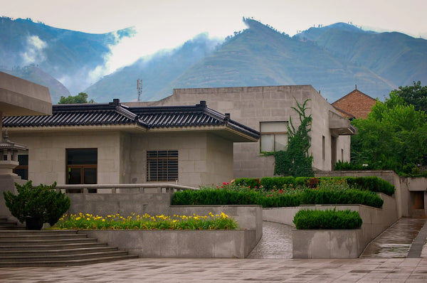 Guardians of History: Terra-Cotta Soldier Museum Giclee / Colored / 5 x 7 Tracy McCrackin Photography Wall art - Tracy McCrackin Photography