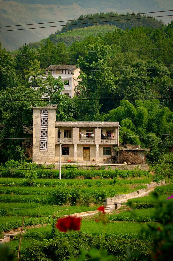 Tranquil Serenity: Embracing a Chinese Village Giclee / Colored / 5 x 7 Tracy McCrackin Photography Wall art - Tracy McCrackin Photography