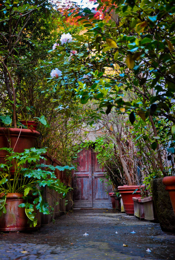 secret-door Giclee / Colored / 5 x 7 Tracy McCrackin Photography - Tracy McCrackin Photography