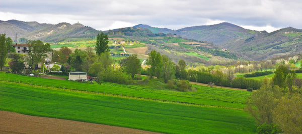 tuscany-landscape Giclee / Colored / 5 x 7 Tracy McCrackin Photography - Tracy McCrackin Photography