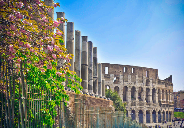 roman-colluseaum Giclee / Colored / 5 x 7 Tracy McCrackin Photography - Tracy McCrackin Photography