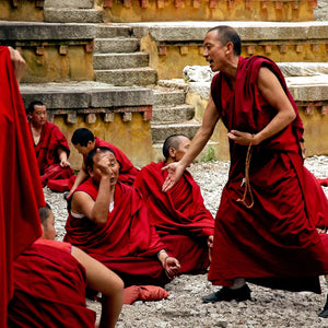 བོད་རིགས་གསེར་འགྱུར་མདོ་སྔོན། (Börik Ser Gyur Möngön): Debating Mastery at Sera Monastery Giclee / Colored / 8 x 10 Tracy McCrackin Photography Wall art - Tracy McCrackin Photography