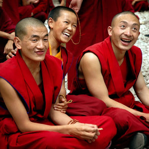 དགེ་སློང་རིམ་གྱི་དུས་དེའི་སྒོམ་མི།: Joyful Harmony of Philosophical Discourse Giclee / Colored / 8 x 10 Tracy McCrackin Photography Wall art - Tracy McCrackin Photography