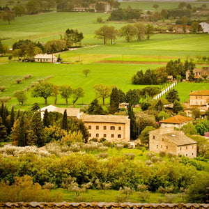 Italian Countryside: Tapestry of Tranquility Giclee / Colored / 8 x 10 Tracy McCrackin Photography Wall art - Tracy McCrackin Photography