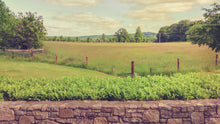 Load image into Gallery viewer, irish-countryside-farm Giclee / Colored / 5 x 7 Tracy McCrackin Photography - Tracy McCrackin Photography
