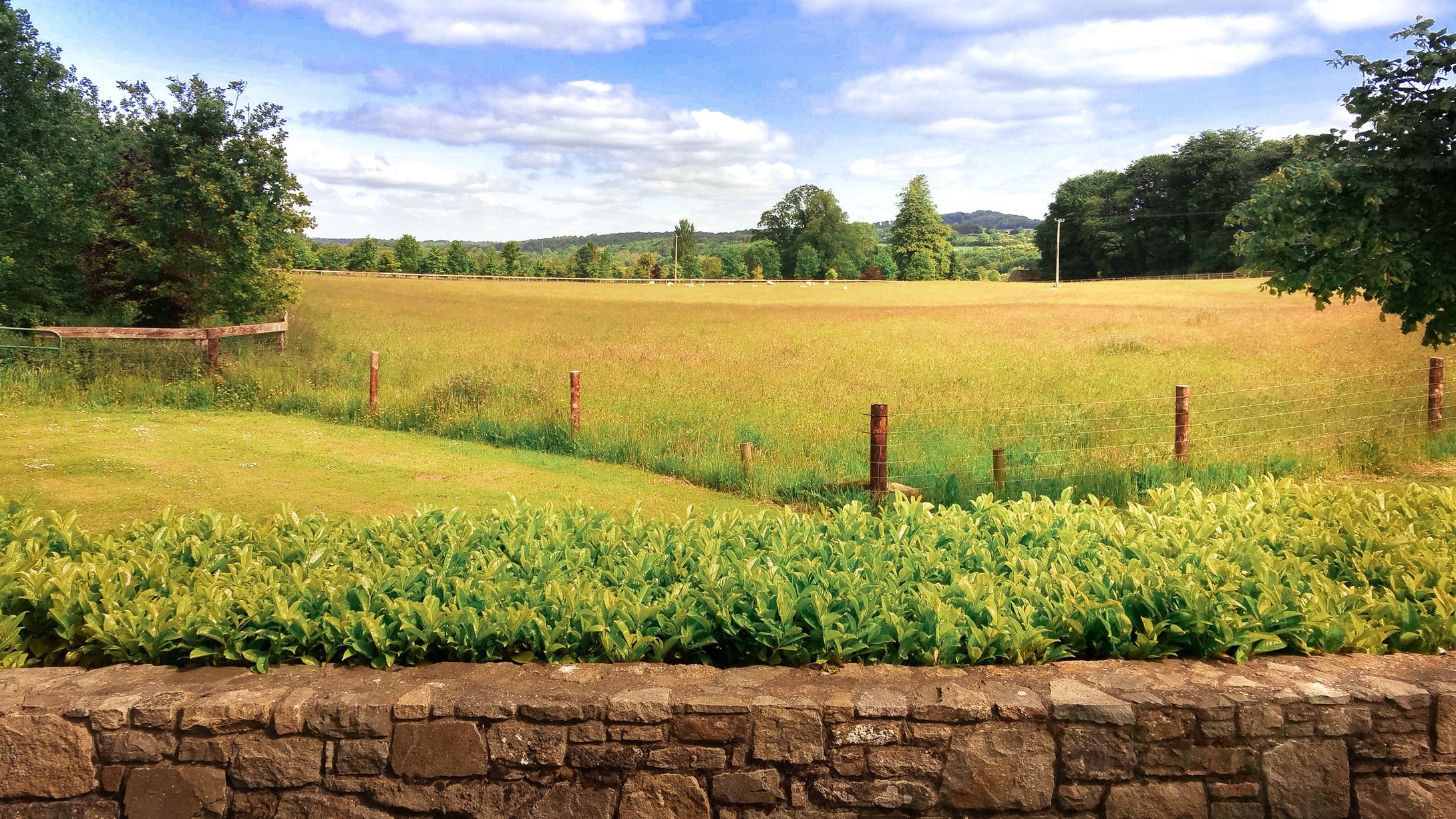 irish-countryside-farm Giclee / Colored / 5 x 7 Tracy McCrackin Photography - Tracy McCrackin Photography