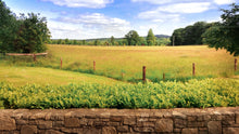 Load image into Gallery viewer, irish-countryside-farm Giclee / Colored / 5 x 7 Tracy McCrackin Photography - Tracy McCrackin Photography