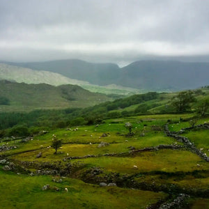 Misty Emerald Serenity: Irish Countryside Giclee / Colored / 8 x 10 Tracy McCrackin Photography Wall art - Tracy McCrackin Photography