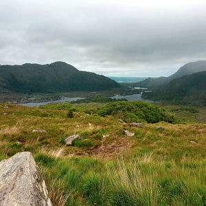 Majestic Irish Vistas: A Journey Through Timeless Landscapes Giclee / Colored / 8 x 10 Tracy McCrackin Photography Wall art - Tracy McCrackin Photography