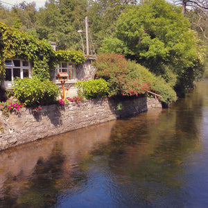 Tranquil Tranquility: Irish Waterways Giclee / Colored / 8 x 10 Tracy McCrackin Photography wall art - Tracy McCrackin Photography
