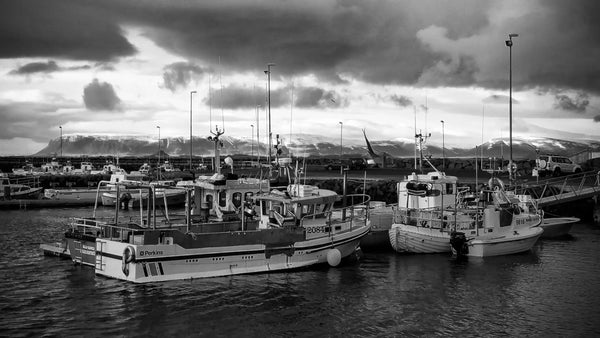 Ruby Horizon: Icelandic Harbor at Sunset Giclee / Colored / 8 x 10 Tracy McCrackin Photography Wall art - Tracy McCrackin Photography