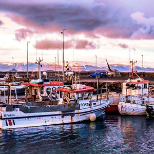 Ruby Horizon: Icelandic Harbor at Sunset Giclee / Colored / 8 x 10 Tracy McCrackin Photography Wall art - Tracy McCrackin Photography