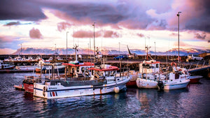 Ruby Horizon: Icelandic Harbor at Sunset Giclee / Colored / 8 x 10 Tracy McCrackin Photography Wall art - Tracy McCrackin Photography