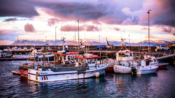 Ruby Horizon: Icelandic Harbor at Sunset Giclee / Colored / 8 x 10 Tracy McCrackin Photography Wall art - Tracy McCrackin Photography
