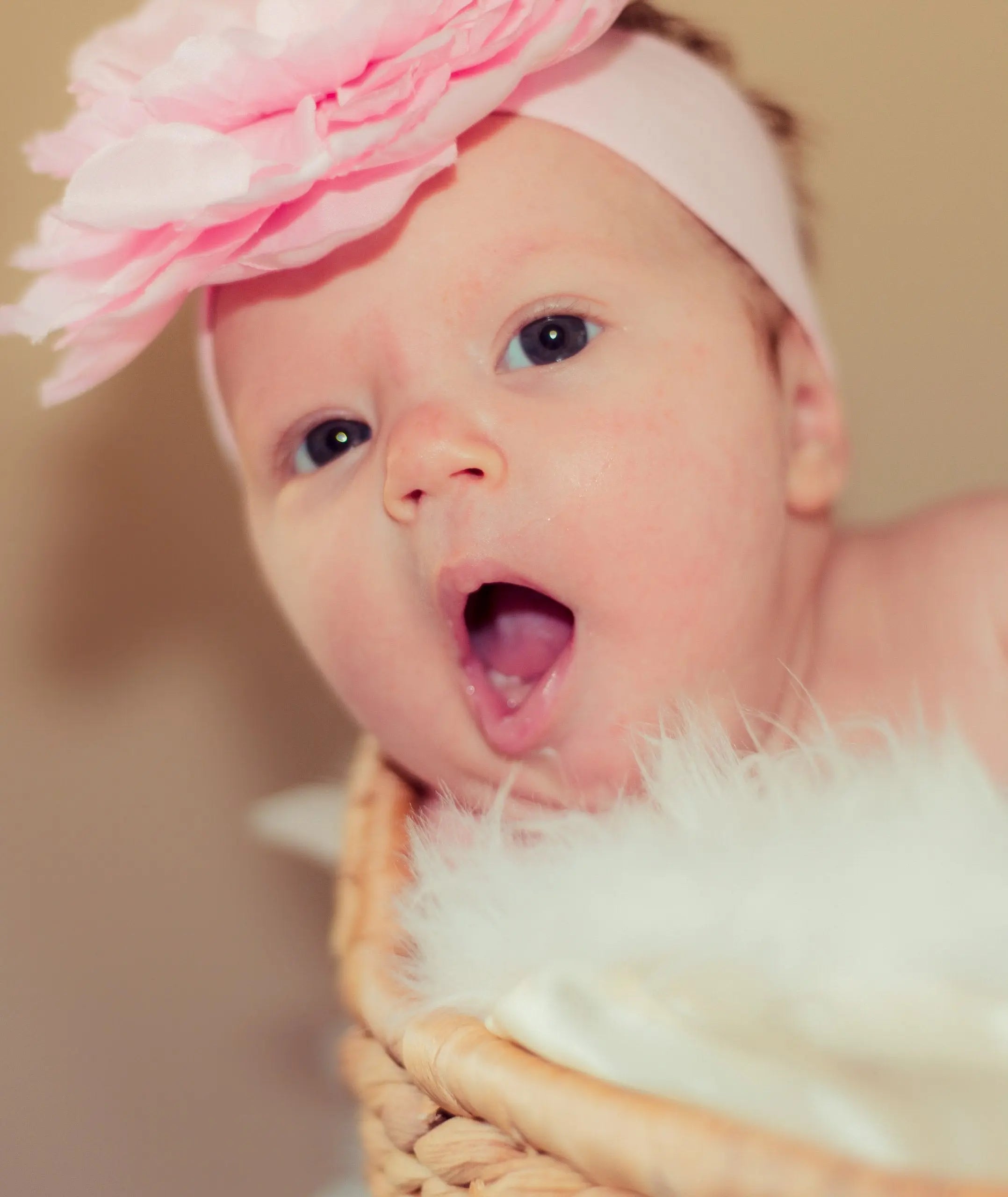 baby-with-pink-rose-in-a-basket Giclee / Colored / 5 x 7 Tracy McCrackin Photography - Tracy McCrackin Photography