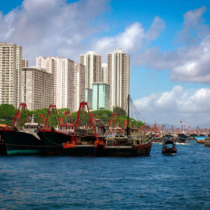 Urban Majesty: Hong Kong's Coastal Splendor Giclee / Colored / 5 x 7 Tracy McCrackin Photography Wall art - Tracy McCrackin Photography