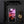 Hong Kong Ruby Sky iPhone Case iPhone 11 Tracy McCrackin Photography - Tracy McCrackin Photography