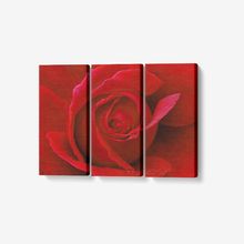 Load image into Gallery viewer, Red Rose- 3 panel wall art - Framed Ready to Hang 3x8&quot;x18&quot; 3 x 8 x 18 / Framed(ready to hang) Printy6 Wall art - Tracy McCrackin Photography