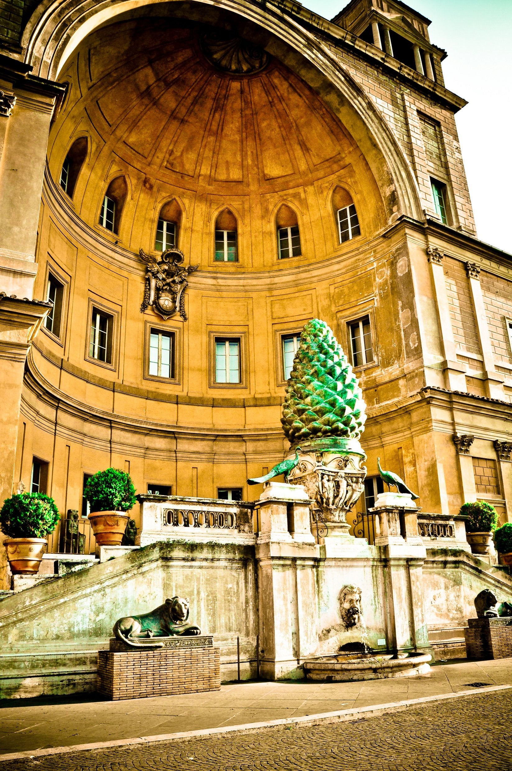 the-italian-rose Giclee / Colored / 5 x 7 Tracy McCrackin Photography - Tracy McCrackin Photography