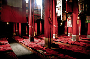 སེ་ར་དགོན་པའི་དགོན་པ་འདུས།: Sera Monastery: Sacred Tranquility Giclee / Colored / 8 x 10 Tracy McCrackin Photography Wall art - Tracy McCrackin Photography