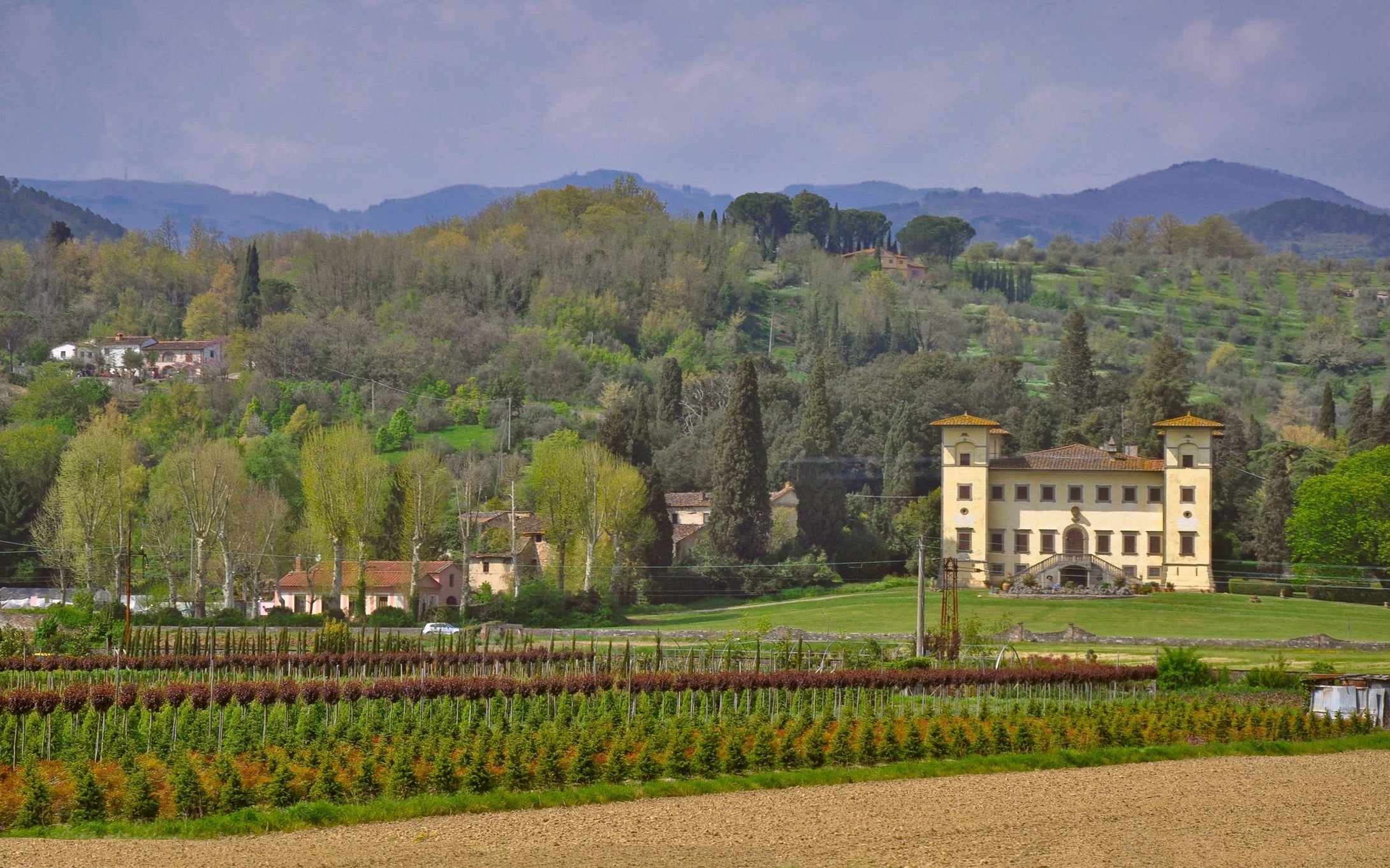 tuscany-12 Giclee / Colored / 5 x 7 Tracy McCrackin Photography - Tracy McCrackin Photography