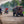 Everyday Stories: Rural Life in a Beijing Neighborhood Giclee / Colored / 5 x 7 Tracy McCrackin Photography GiclŽe - Tracy McCrackin Photography