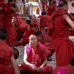 Enlightenment Unveiled: Tibetan Monks' Spirited Debate Giclee / Colored / 5 x 7 Tracy McCrackin Photography Wall art - Tracy McCrackin Photography