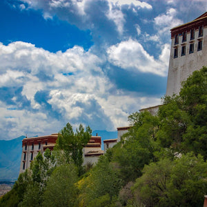 "ཞིག་འཛུགས་གསུངས། (Shikdzuk Sung): Harmony of Serenity Giclee / Colored / 5 x 7 Tracy McCrackin Photography Wall art - Tracy McCrackin Photography