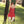 child-swinging-with-father-red-dress Giclee / Colored / 5 x 7 Tracy McCrackin Photography - Tracy McCrackin Photography
