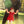 child-swinging-with-father-red-dress Giclee / Colored / 5 x 7 Tracy McCrackin Photography - Tracy McCrackin Photography