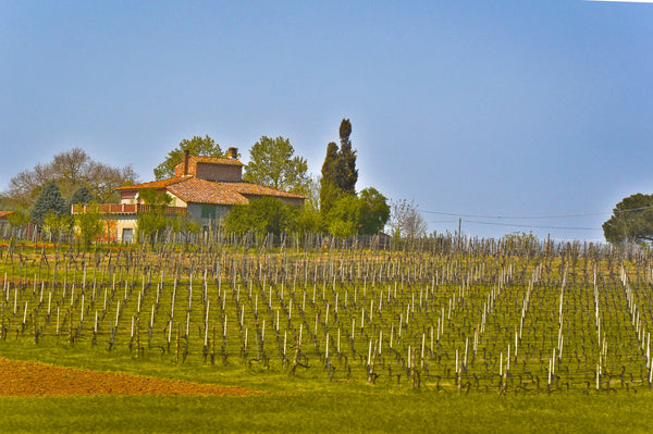 tuscany-4 Giclee / Colored / 5 x 7 Tracy McCrackin Photography - Tracy McCrackin Photography
