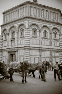 rome-extra Giclee / Colored / 5 x 7 Tracy McCrackin Photography - Tracy McCrackin Photography