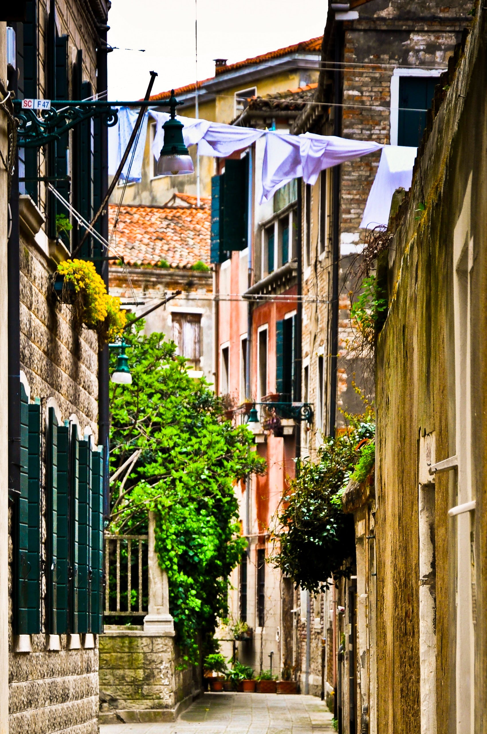 streets-of-venice-5 Giclee / Colored / 5 x 7 Tracy McCrackin Photography - Tracy McCrackin Photography