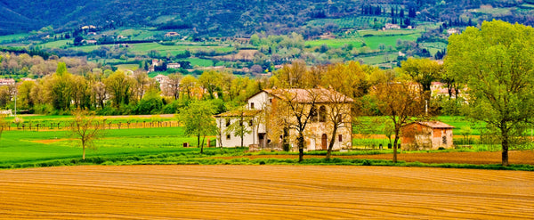 italian-landscape-pano-1 Giclee / Colored / 5 x 7 Tracy McCrackin Photography - Tracy McCrackin Photography