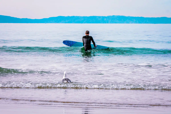 into-the-deep Tracy McCrackin Photography GiclŽe - Tracy McCrackin Photography