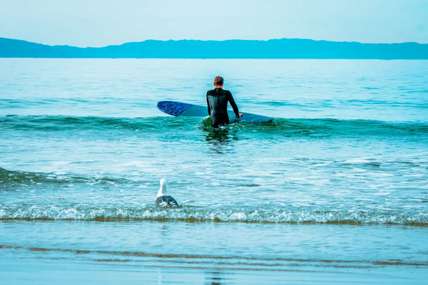 into-the-deep Tracy McCrackin Photography GiclŽe - Tracy McCrackin Photography