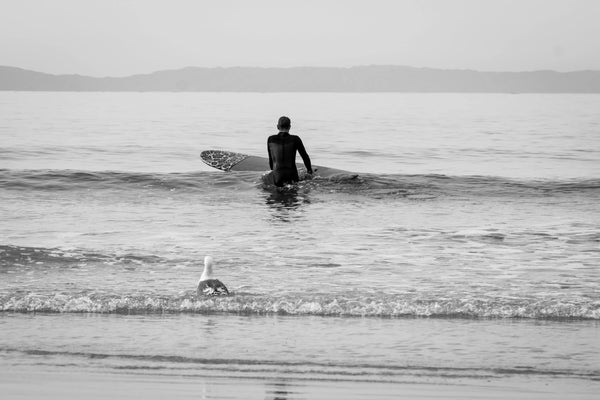 into-the-deep Giclee / B&W / 5x7 Tracy McCrackin Photography GiclŽe - Tracy McCrackin Photography