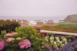 Serene Coastal Bliss: Gardens of Color and Ocean's Embrace Giclee / Colored / 8 x 10 Tracy McCrackin Photography Wall art - Tracy McCrackin Photography