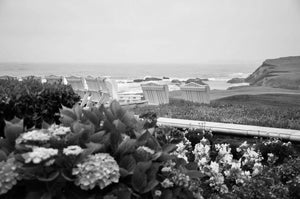 Serene Coastal Bliss: Gardens of Color and Ocean's Embrace Giclee / Colored / 8 x 10 Tracy McCrackin Photography Wall art - Tracy McCrackin Photography