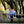 family-portraits-trees-and-fence Giclee / Colored / 5 x 7 Tracy McCrackin Photography - Tracy McCrackin Photography
